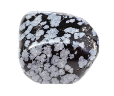 Cilalanmış Kar Tanesi Obsidian değerli taşı izole edilmiş.