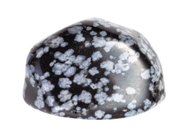 Cilalanmış Kar Tanesi Obsidiyen mücevheri izole edildi