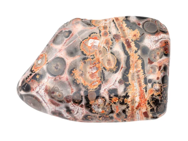 Wypolerowana skóra Leopard jaspis kamień izolowany — Zdjęcie stockowe