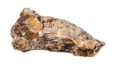 Çiğ Bronzit (Enstatite) kayası beyaz üzerine izole