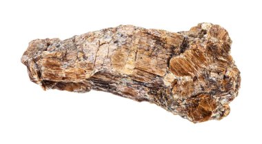 pürüzlü Bronzit (Enstatite) kayası beyaz üzerine izole