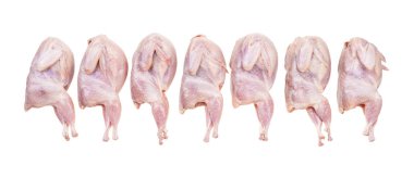 Beyaz arkaplanda yedi çiğ bıldırcın var.