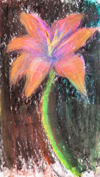 Szkic Lilii Kwiat Czarnym Tle Ręcznie Rysowane Przez Pastel Papierze — Zdjęcie stockowe