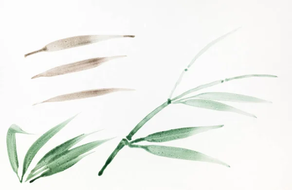 Sketch Leaves Reed Hand Drawn Watercolor White Paper Sumi Suibokuga — Stock Photo, Image