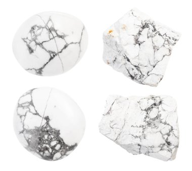 Beyaz arkaplanda izole edilmiş çeşitli Howlite değerli taşları.