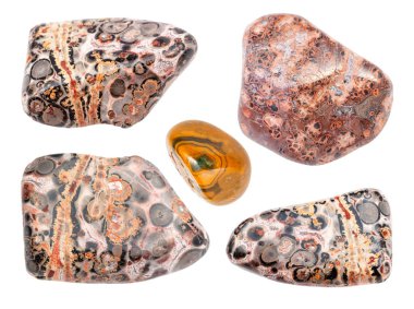 Beyaz arka planda izole edilmiş çeşitli leopar derisi jasper (Jaguar Taşı) setleri