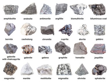 set of various gray unpolished rocks with names (antimonite, chromite, graphite, melilitolite, bornite, galenite, sphalerite, magnetite, hematite, cuprite, migmatite, argillite, etc) isolated on white clipart