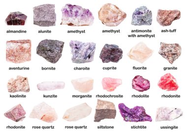 set of various unpolished pink minerals with names (rhodonite, rhodolite, rhodochrosite, almandine, morganite, bornite, amethyst, cuprite, siltstone, aleurite, ussingite, etc) isolated on white clipart