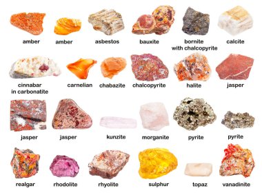 set of various unpolished red and orange stones with names (jasper, realgar, cinnabar,pyrite, chabazite, morganite, cornelian, amber, rhodolite, pyrope, bauxite, rhyolite, etc) isolated on white clipart