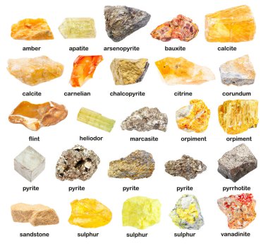 İsimleri olan çeşitli cilalanmamış sarı mineraller (vanadinit, pyrite, markasit, sülfür, pyrhotit, bauxite, heliodor, citrine, arsenopyrite, orpiment, kalsit, Flint, vs.) beyaz üzerine izole edilmiş.