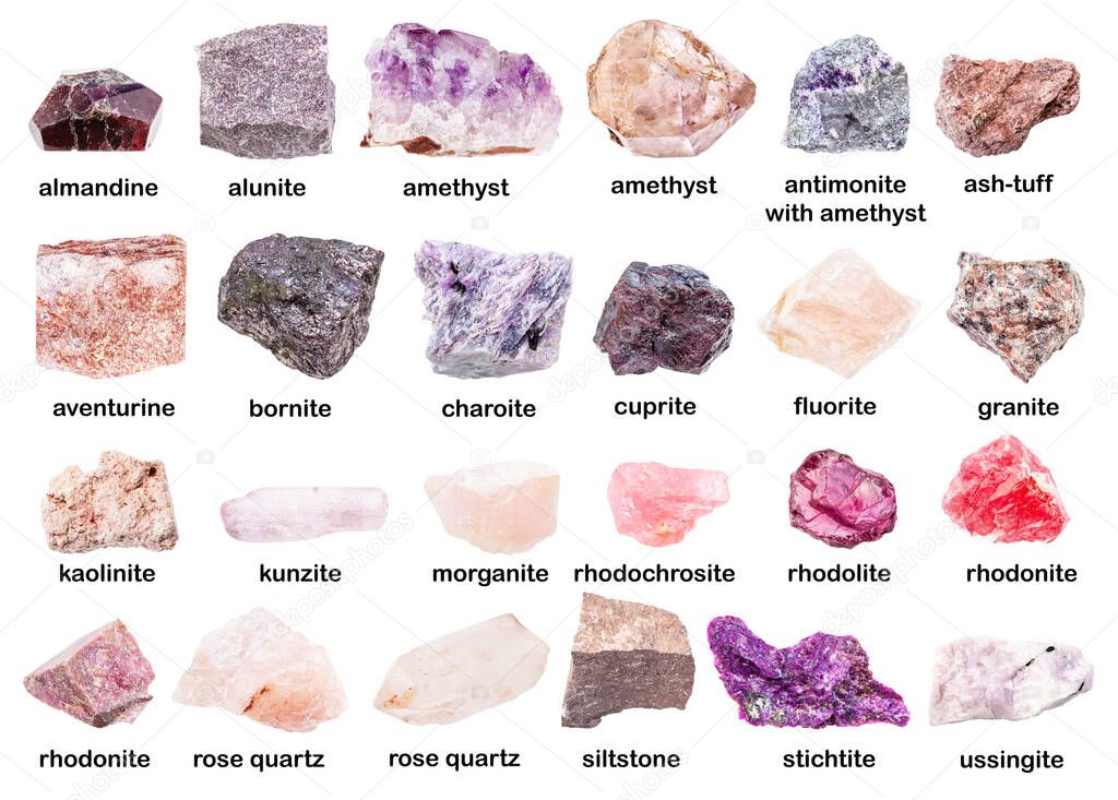set of various unpolished pink minerals with names (rhodonite, rhodolite, rhodochrosite, almandine, morganite, bornite, amethyst, cuprite, siltstone, aleurite, ussingite, etc) isolated on white