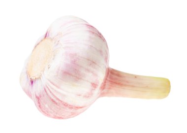 Beyaz arka planda izole edilmiş taze sarımsak soğanı.