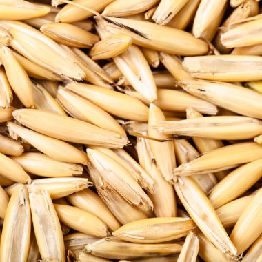 Kare mısır gevreği arkaplanı - ekilmiş yulaf tohumları