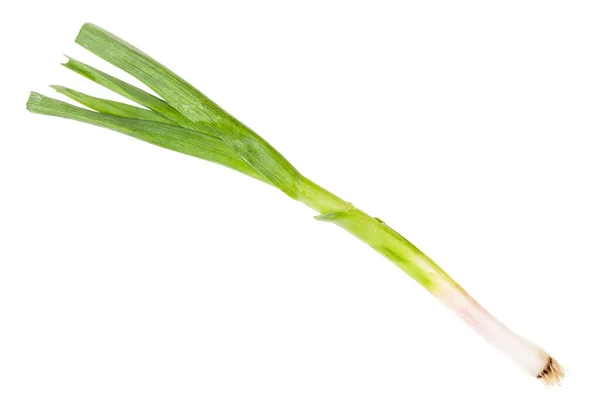 Green Young Spring Garlic Isolated White Background — Stock Photo, Image