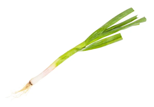 Groene Jonge Lente Knoflook Met Wortels Geïsoleerd Witte Achtergrond — Stockfoto