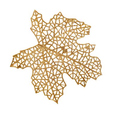 Beyaz arka planda izole edilmiş doğal yaprağın yapay plastik iskeleti.