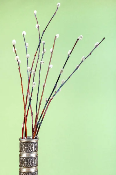 vertical pussy willow sunday (palm sunday) feast still-life - downy pussy-willow twigs in vintage pewter jug on green pastel background