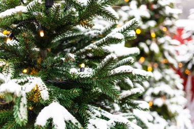 Karla kaplanmış Noel ağacı. Açık havada iple süslenmiş.