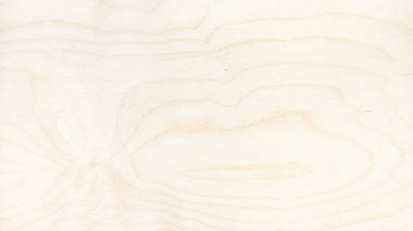 panoramik ahşap zemin - doğal huş ağacının yüzeyi