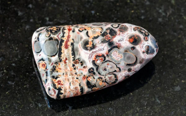 Zbliżenie Próbki Naturalnego Minerału Kolekcji Geologicznej Skała Leopard Skin Jasper — Zdjęcie stockowe