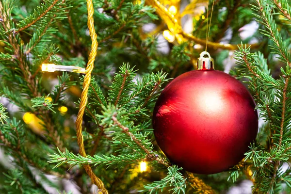 Rode Bal Licht Koord Natuurlijke Kerstboom Close Indoor — Stockfoto
