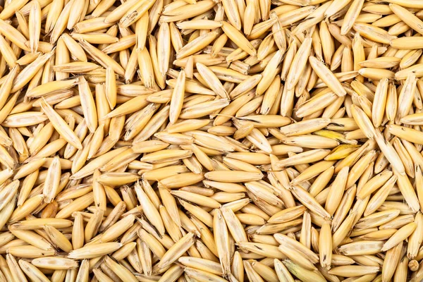 Fondo Cereales Semillas Sin Pelar Avena Cultivada — Foto de Stock