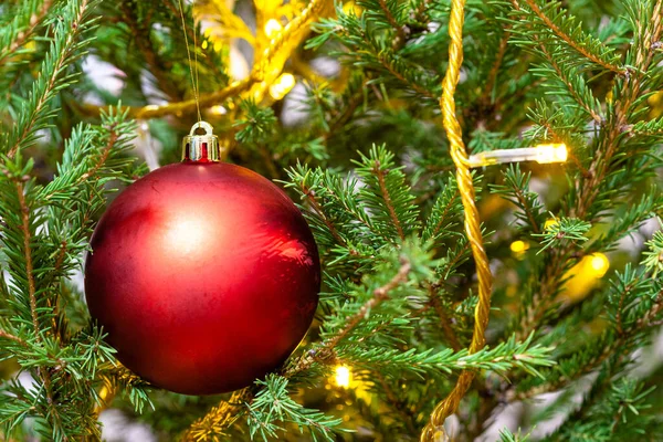 自然クリスマスツリーの小枝の上に赤いボールと光の文字列を閉じる屋内 — ストック写真