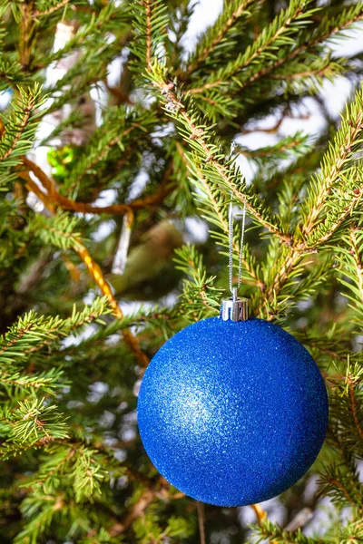 Blauwe Bal Natuurlijke Kerstboom Close Indoor — Stockfoto