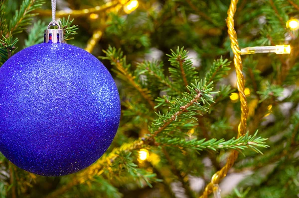 Blauwe Bal Licht Koord Natuurlijke Kerstboom Close Indoor — Stockfoto