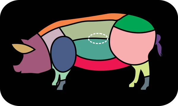 Domuz eti kümesi kesti. Poster kasap diyagramı, düzeni ve rehber - Pork.Vector şekil