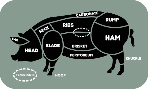 Domuz eti kümesi kesti. Poster kasap diyagramı, düzeni ve rehber - Pork.Vector şekil