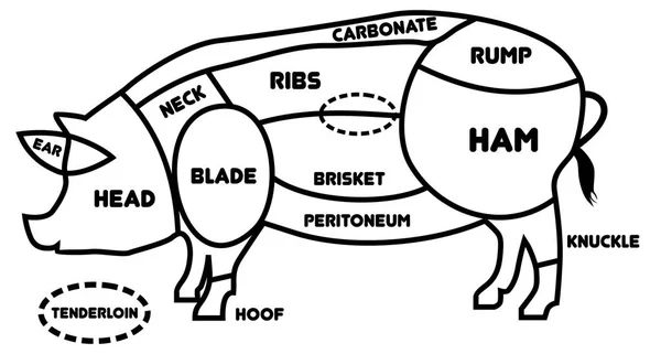 Gesneden varkensvlees set. Poster slager diagram, regeling en gids - illustratie van de Pork.Vector Rechtenvrije Stockillustraties