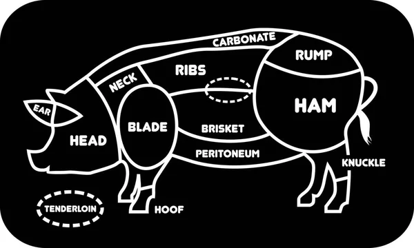 Corte de carne de porco. Carniceiro de cartaz diagrama, esquema e guia - Porco.Ilustração vetorial Vetor De Stock