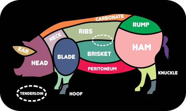 Varkensvlees of varken snijdt. Barbecue vectorillustratie. Varkensvlees vlees snijdt. Slager varkensvlees bezuinigingen diagram. Slagers-selectie. Slagerij Vectorbeelden