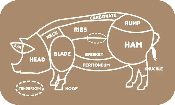 Pork or pig cuts. Barbecue vector illustration. Pork meat cuts. Butcher pork cuts diagram. Butchers selection. Butcher shop Stock Vector