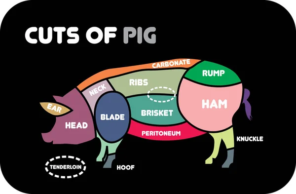 Corte de carne de porco. Carniceiro de cartaz diagrama, esquema e guia - Porco.Ilustração vetorial Vetores De Stock Royalty-Free