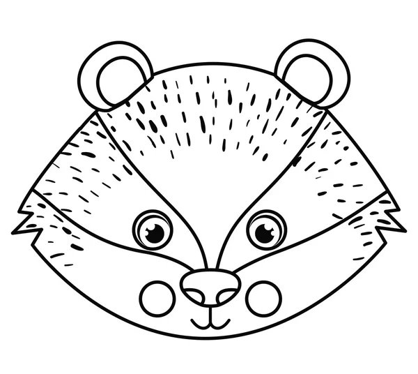 Squirrel animal cartoon design — Stock Vector
