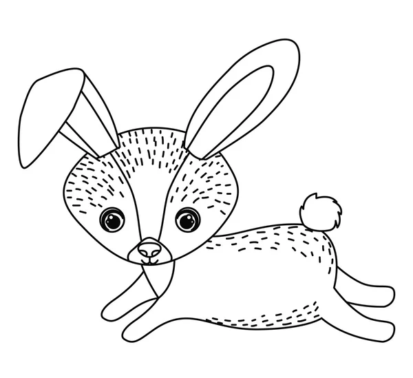 Tavşan hayvan karikatür tasarım — Stok Vektör