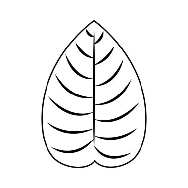 İzole ve siluet yaprak tasarımı