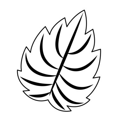 İzole ve siluet yaprak tasarımı