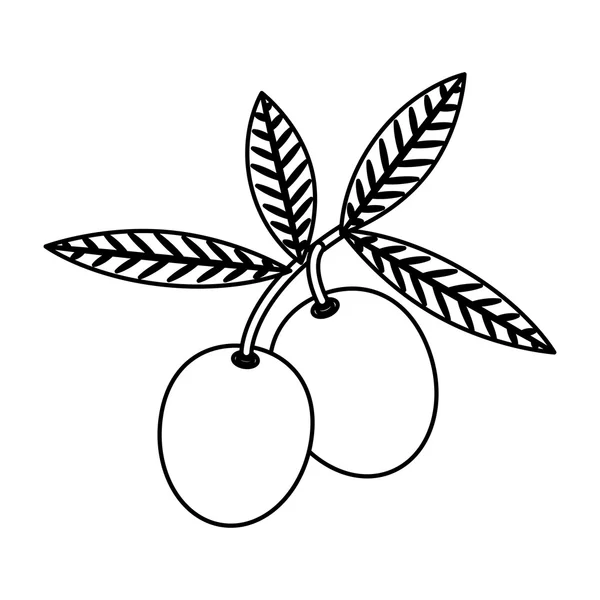 Ізольований та силуетний оливковий дизайн — стоковий вектор