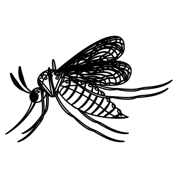 Diseño de mosquito aislado y silueta — Vector de stock
