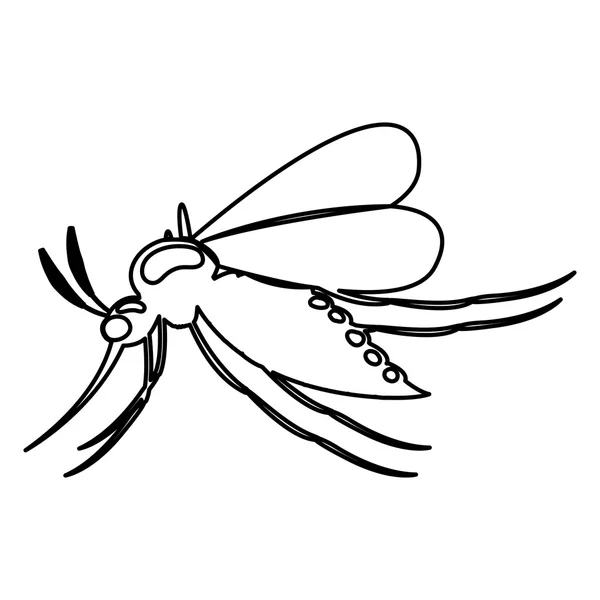 Diseño de mosquito aislado y silueta — Vector de stock