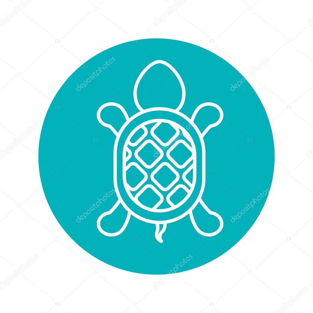 Circle shape with turtle animal