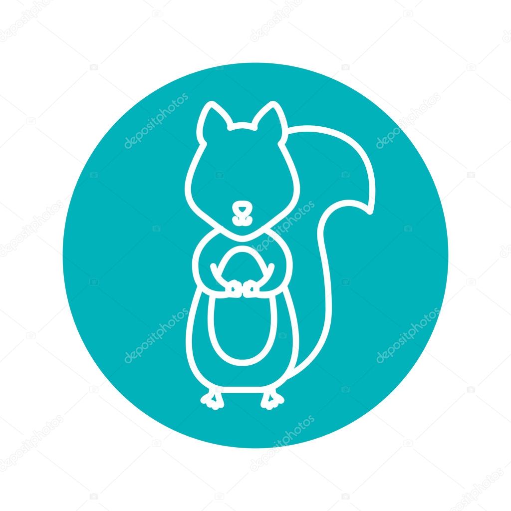 Circle shape with squirrel wild animal