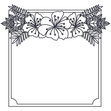 İzole dekoratif ve çiçek gövde tasarımı