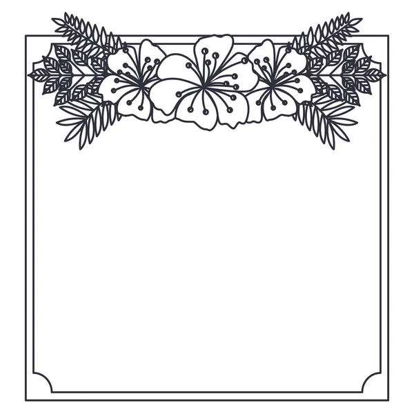 Diseño de marco decorativo y floral aislado — Archivo Imágenes Vectoriales