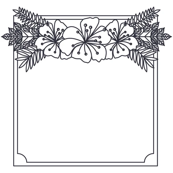 Diseño de marco decorativo y floral aislado — Archivo Imágenes Vectoriales