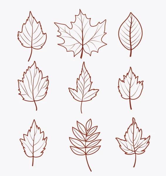 Дизайн листя осіннього сезону — стоковий вектор