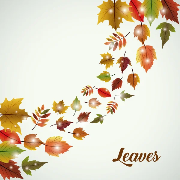 Leaves of autumn season design — Stock Vector